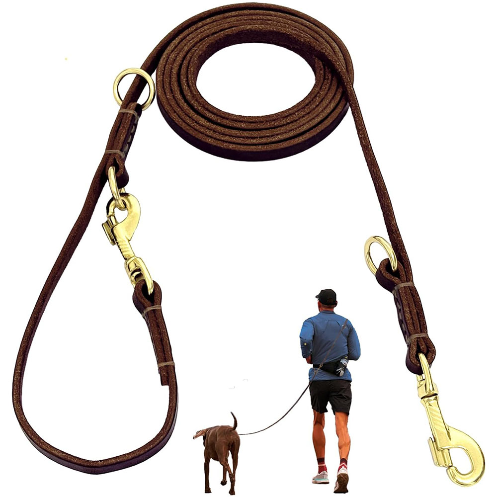 Multi Function Leather Dog Lea - Leather Strap Quick Release recension och pris